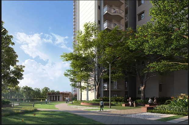 Senior Citizen Garden